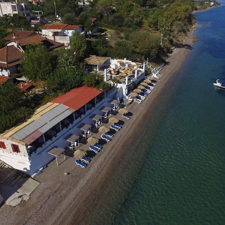 Taradella Hotel Alissos Dış mekan fotoğraf