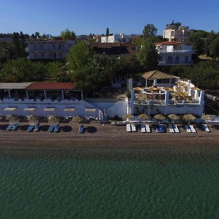 Taradella Hotel Alissos Dış mekan fotoğraf