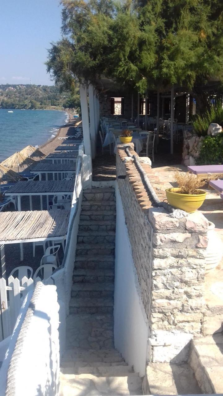 Taradella Hotel Alissos Dış mekan fotoğraf