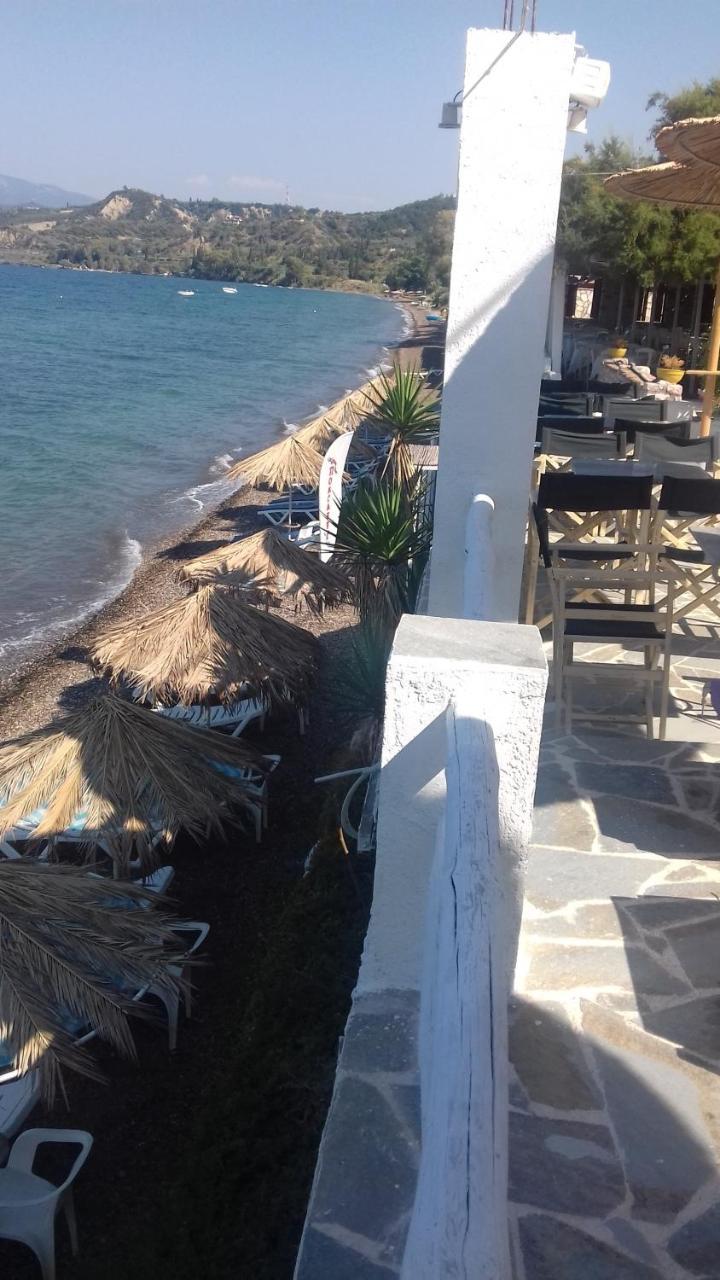 Taradella Hotel Alissos Dış mekan fotoğraf